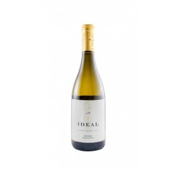 White wine Dão Ideal 2019 0.75L