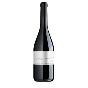 Quinta de Lemos Touriga do Bosque 2015 - Image 1