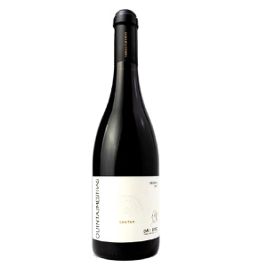 Quinta das Mestras Reserva Tinto 2017 - Image 1